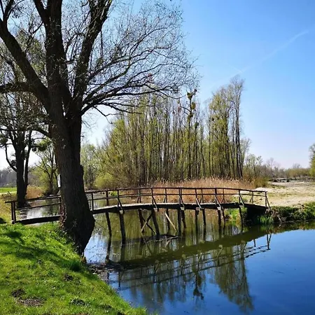 In Verunic Near The Sea 벨리 라트