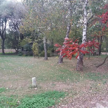 In Verunic Near The Sea