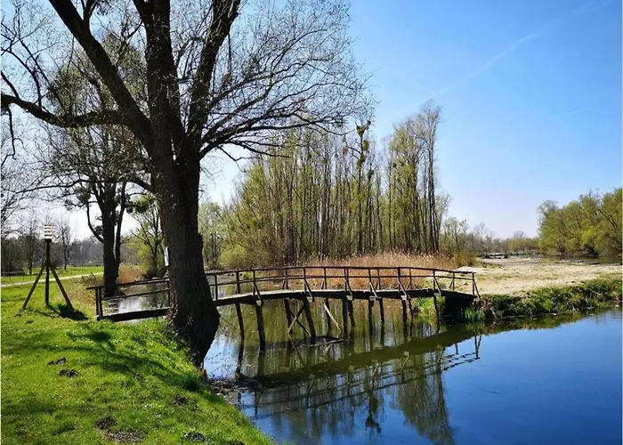 In Verunic Near The Sea 벨리 라트