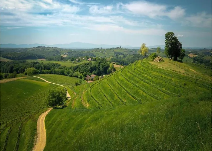 In Verunic Near The Sea 펜션 *